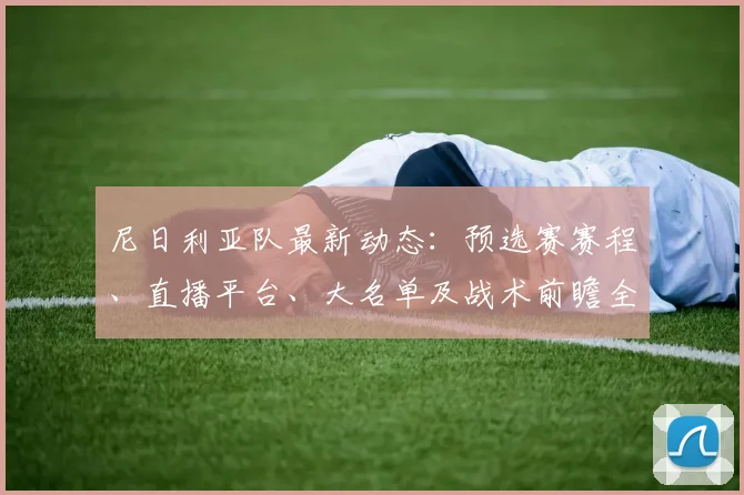 尼日利亚队最新动态：预选赛赛程、直播平台、大名单及战术前瞻全解析