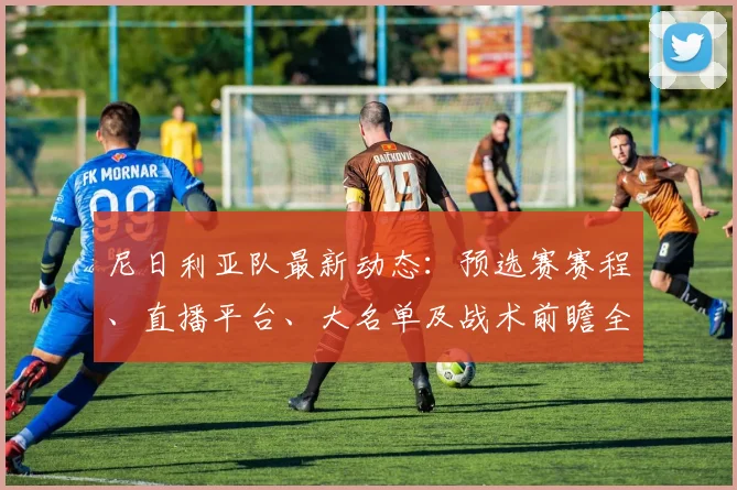 尼日利亚队最新动态：预选赛赛程、直播平台、大名单及战术前瞻全解析
